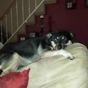 Meet your Posher, Leith